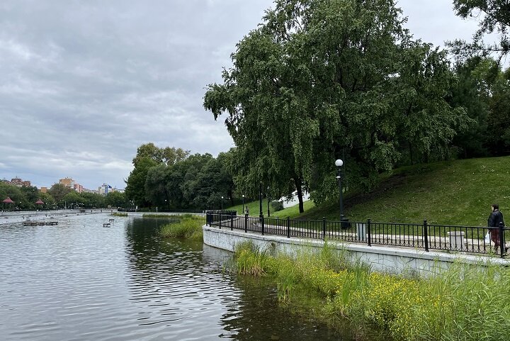 Все случилось на городских прудах Марина ГОНЧАРЕНКО