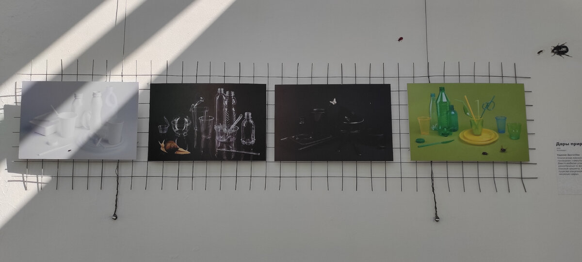 Автор: Евдокия Дергилёва - Дары природе