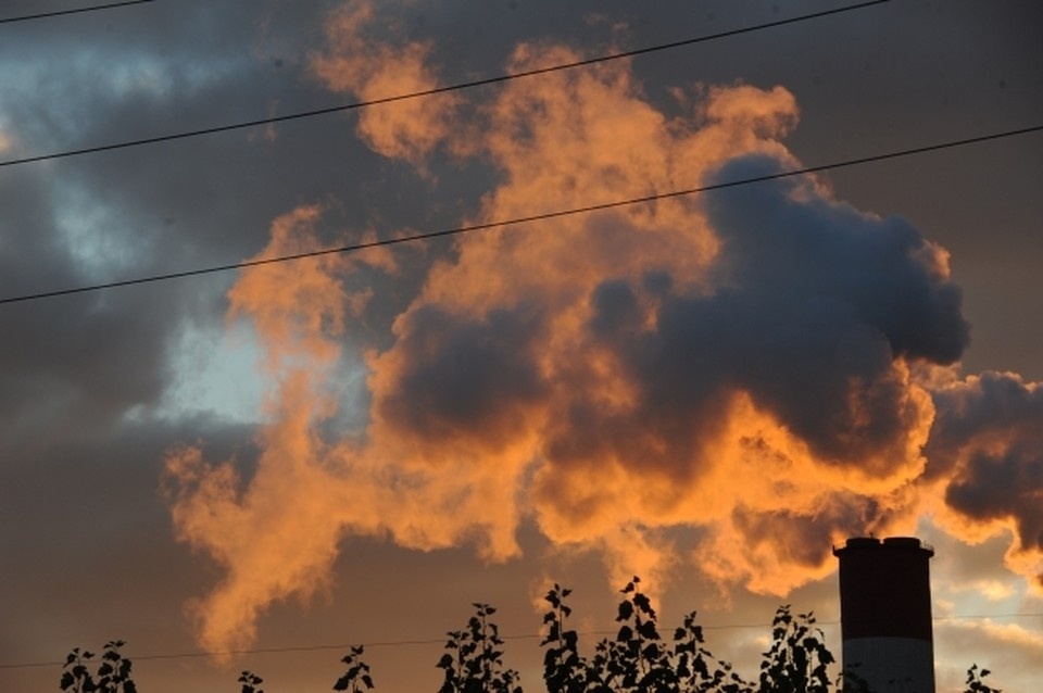     Фото: архив КП