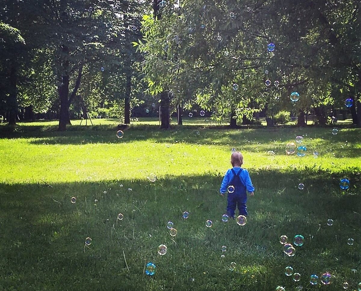 Фото автора. 2018