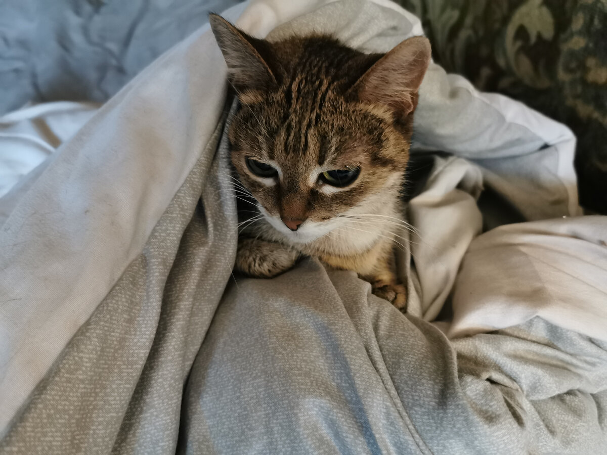 Семечка. Фото из личного архива автора.