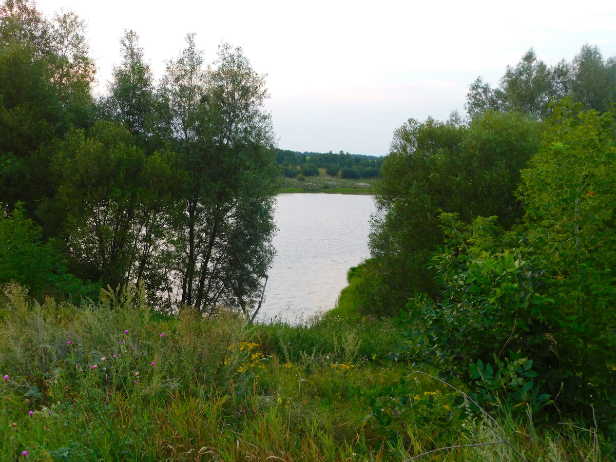 Фото автора канала