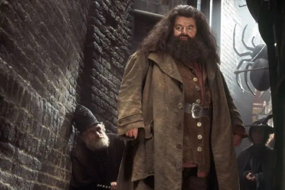     Джоан Роулинг сама выбрала Робби Колтрейна на роль Хагрида. Фото: кадр из фильма