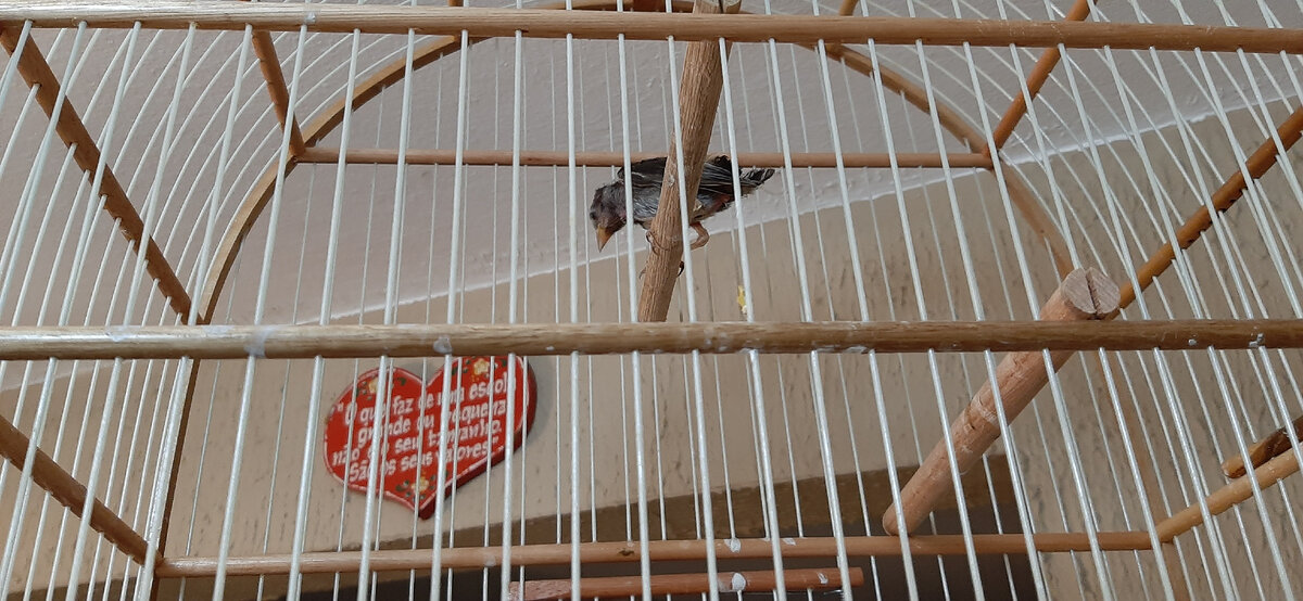 Ника.