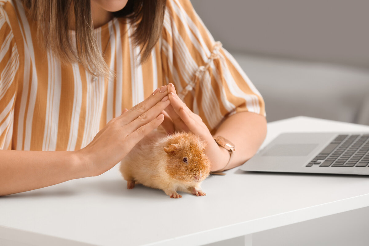 Автор: bondarillia