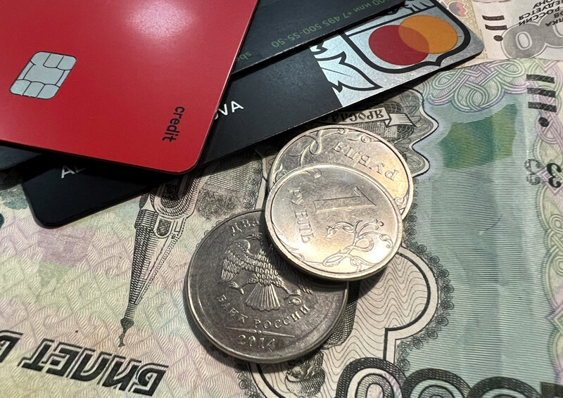    Финансовые аналитики объяснили, почему россияне стали брать меньше займов до зарплаты