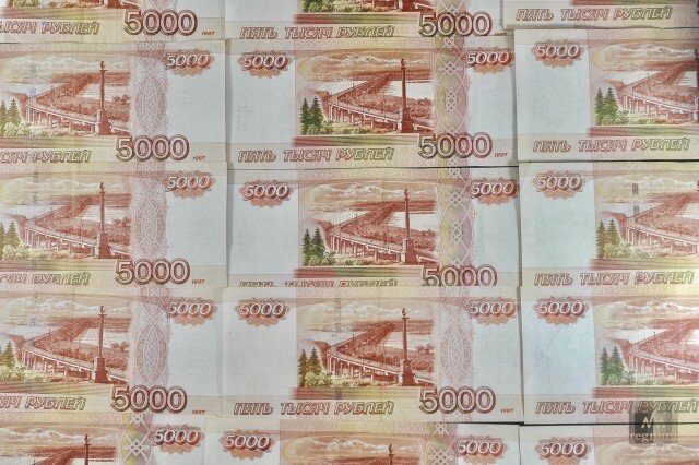    Деньги Дарья Антонова © ИА REGNUM