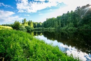    Фото: tobolka.ru. Татьяна Дворянчикова