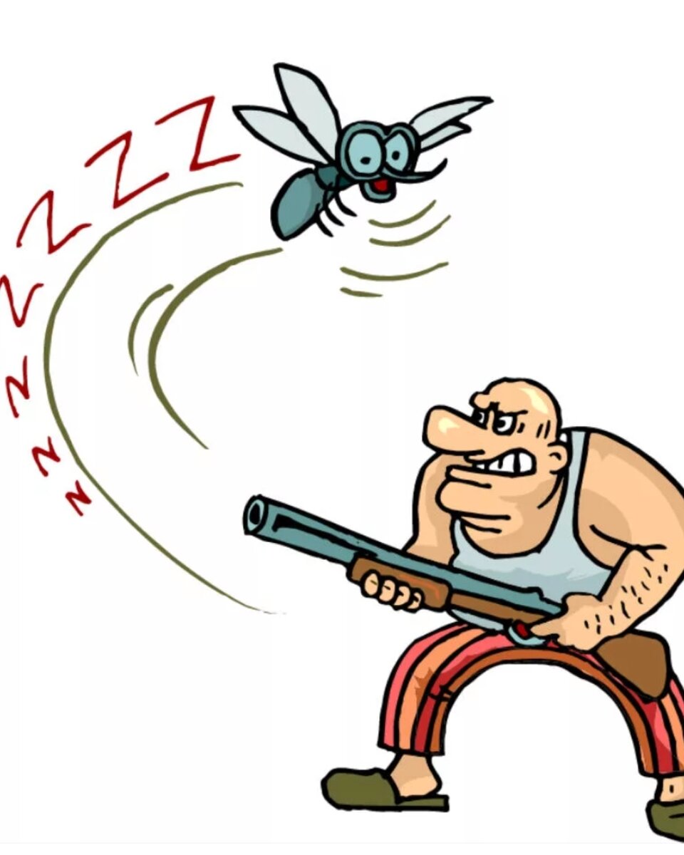 Драка с мухой. Комар карикатура. Прикольный комар. Рисунок комара прикольный.