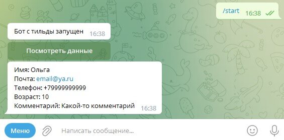 Бот запущен. Мы проверили, что данные из формы сохранились.