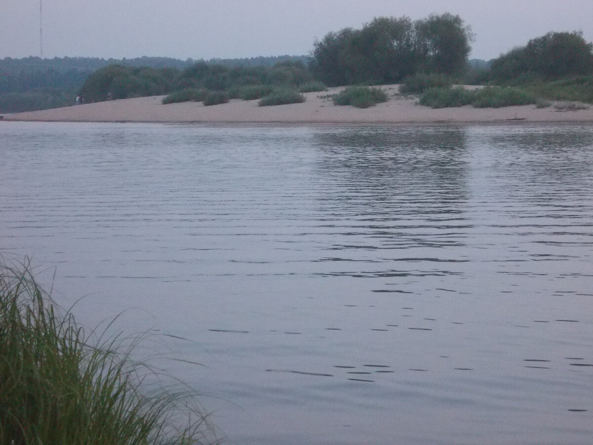 Берега Ветлуги