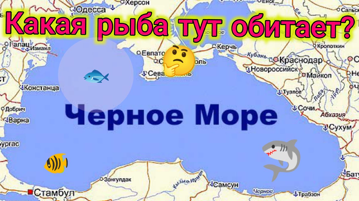 Черное море карта