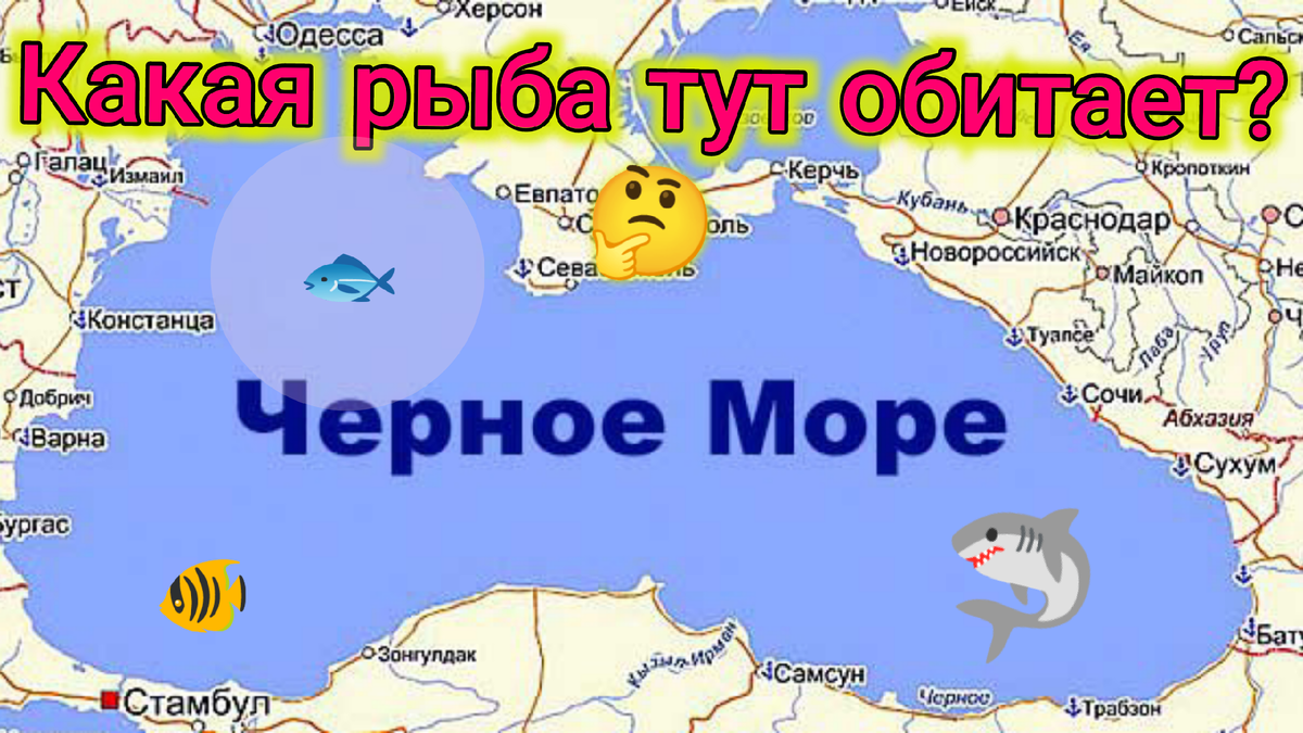 Погода в сухуми и температура моря. Карта черного моря для детей. Море рыбы Отрадная Севастополь.