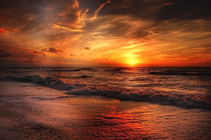 Фото: Pixabay
