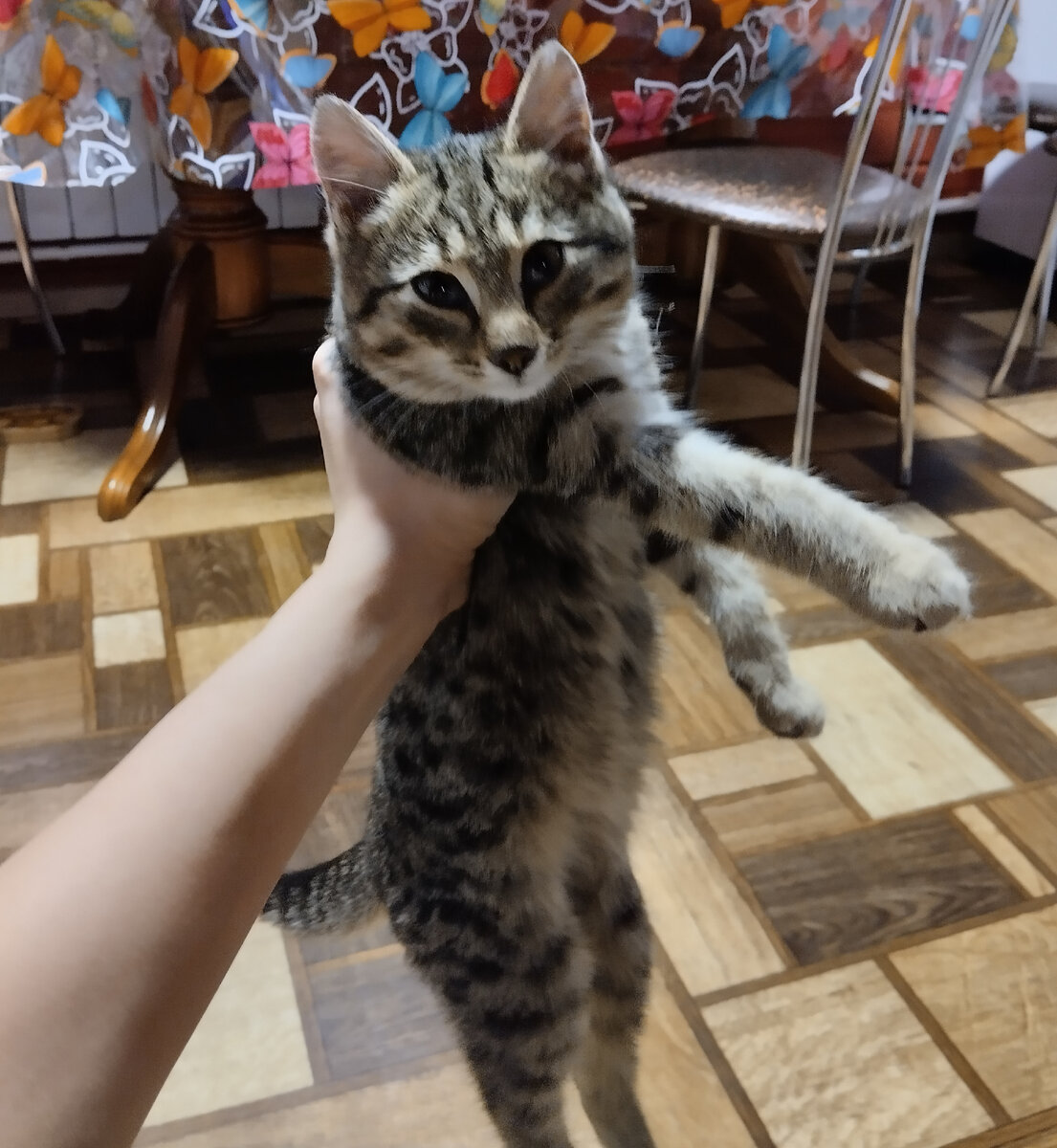 А таким стал. По другому сфоткать не могу, он всегда в движении.