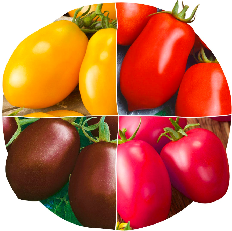 Источник: Яндекс картинки.