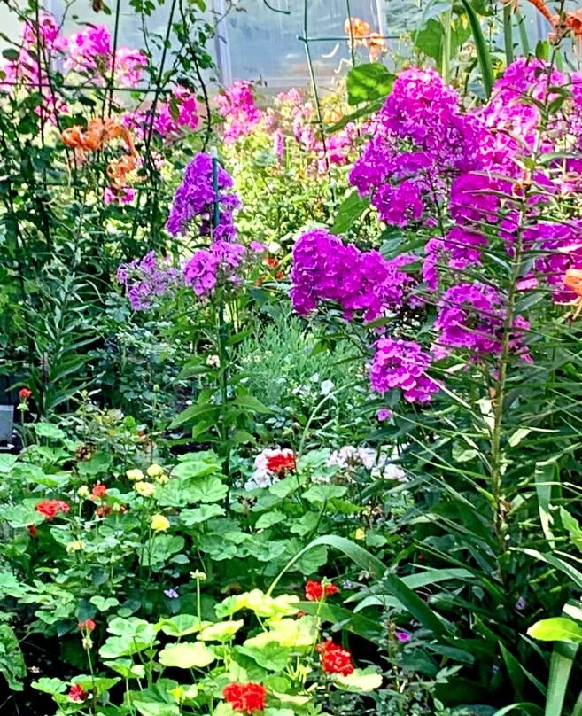 Фото автора.