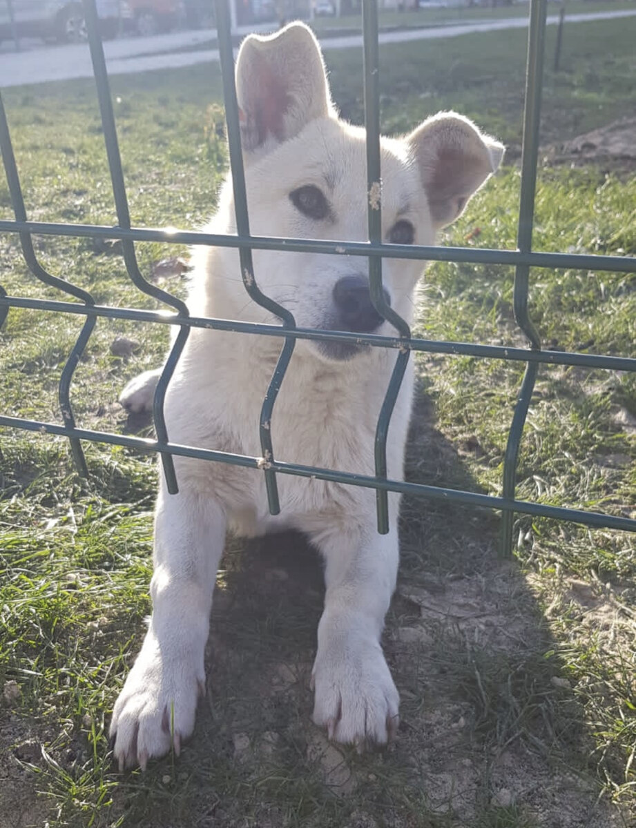 Какой он был наивный и непосредственный был..