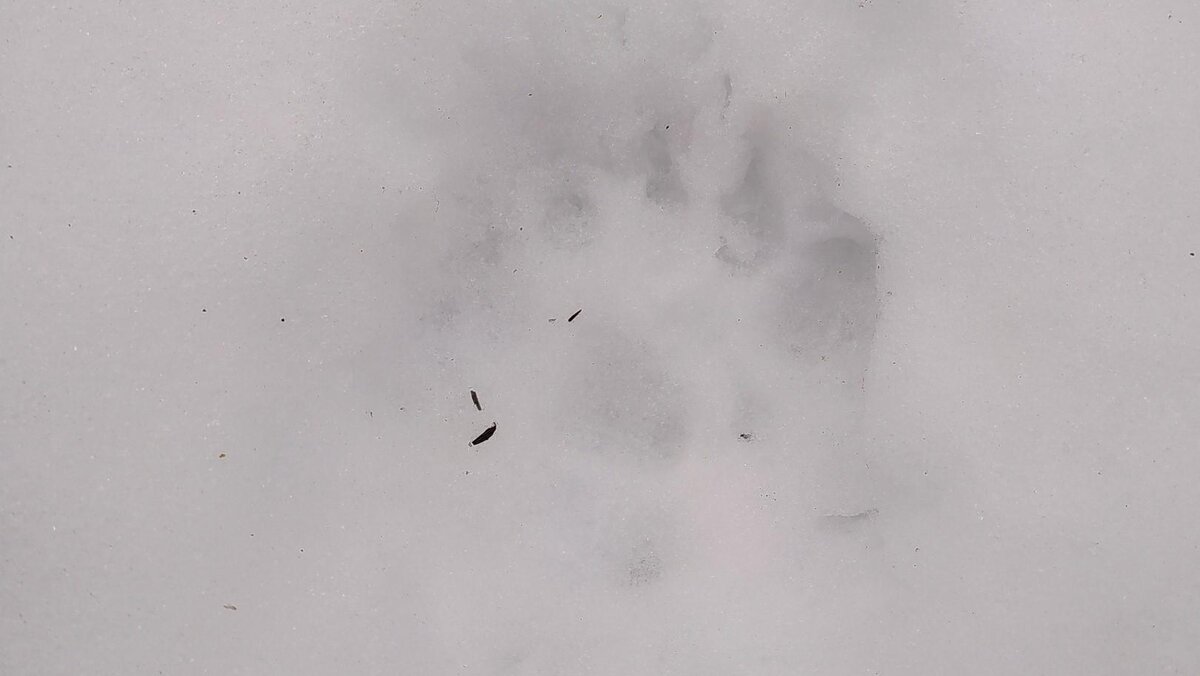    Фото: vk.com/kazdoytvaripopare