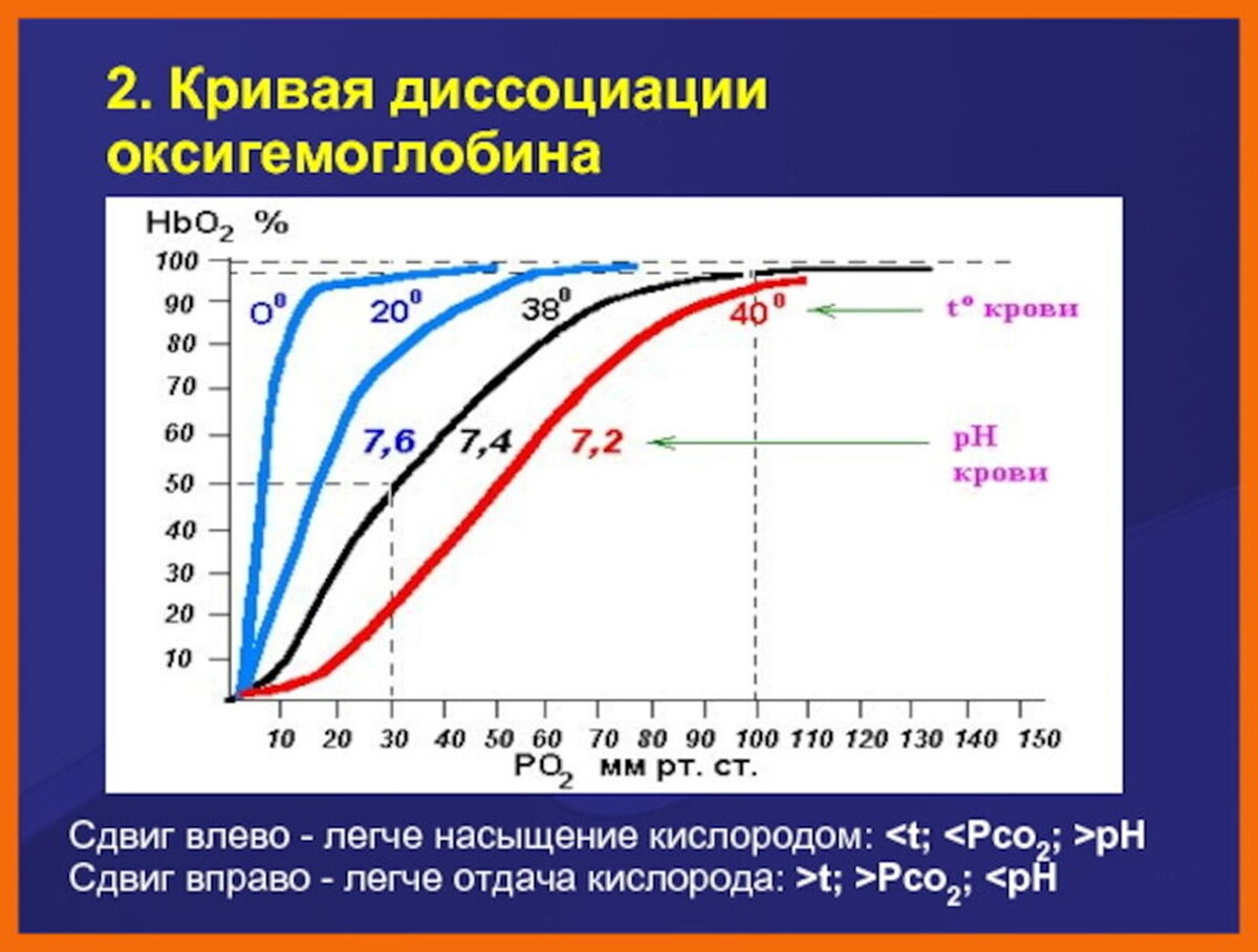 На графике изображена кривая диссоциации гемоглобина