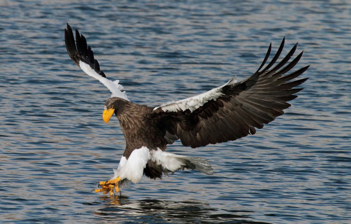 Фото с просторов интернета