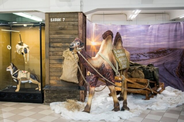    Фото: музей-заповедник «Сталинградская битва»