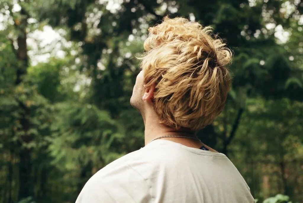 Картинка из интернета