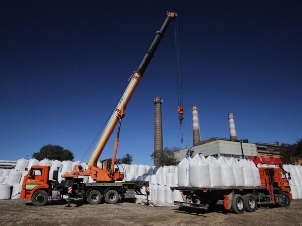    © РИА Новости Денис Абрамов