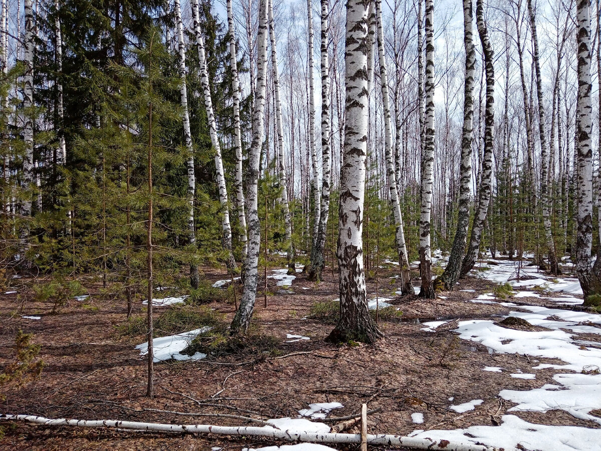  фото Ольги Чикиревой.