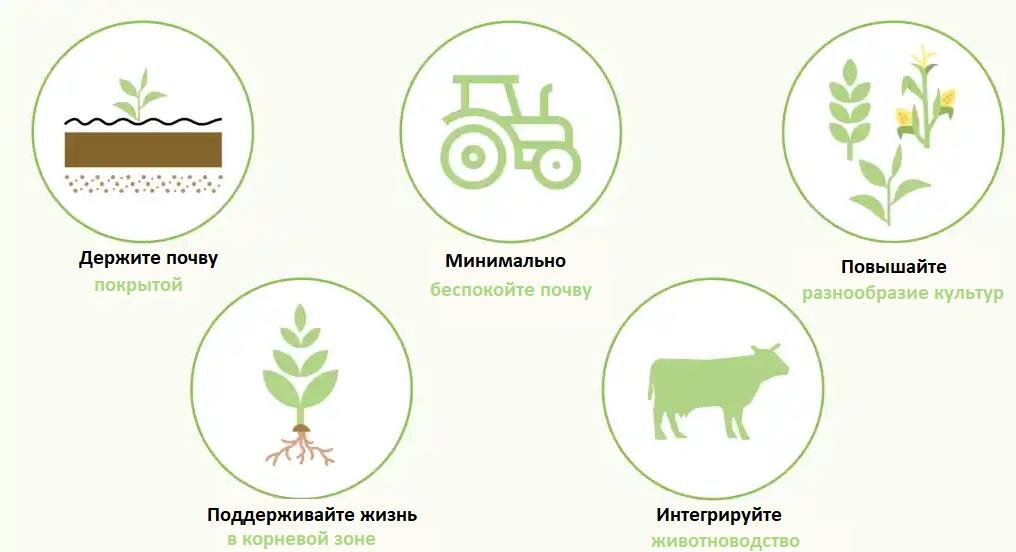 Верни мои урожаи! Или как подарить почве утраченное плодородие?