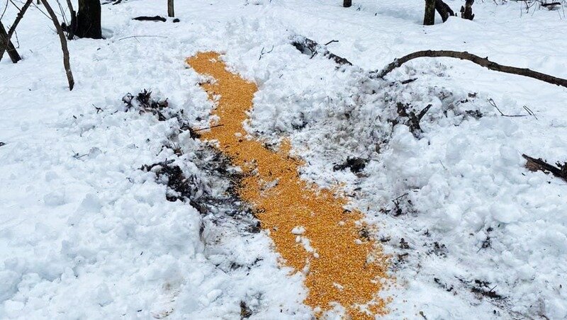Фото: минприроды Ставрополья 