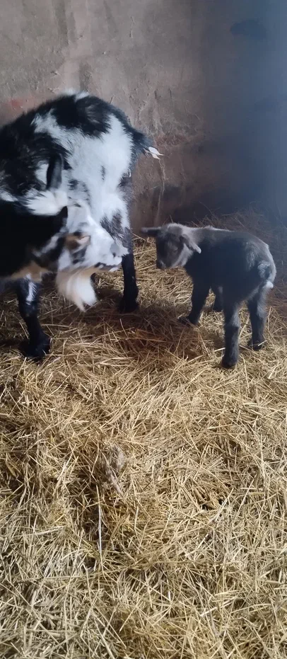 Личное фото