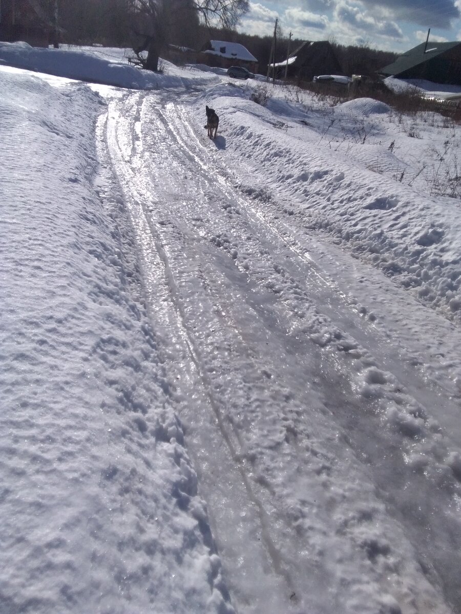 Фото автора. 