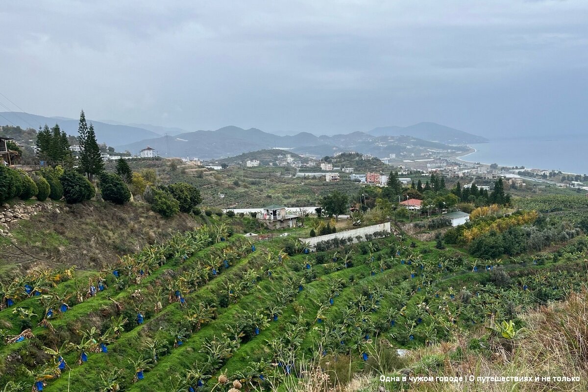 Эта зима в Аланье выдалась аномально теплой и солнечной, но именно в этот день, именно в тот момент, когда мы вышли из автобуса заморосил дождь. Но половина пути была уже позади и мы решили продолжить путь. 