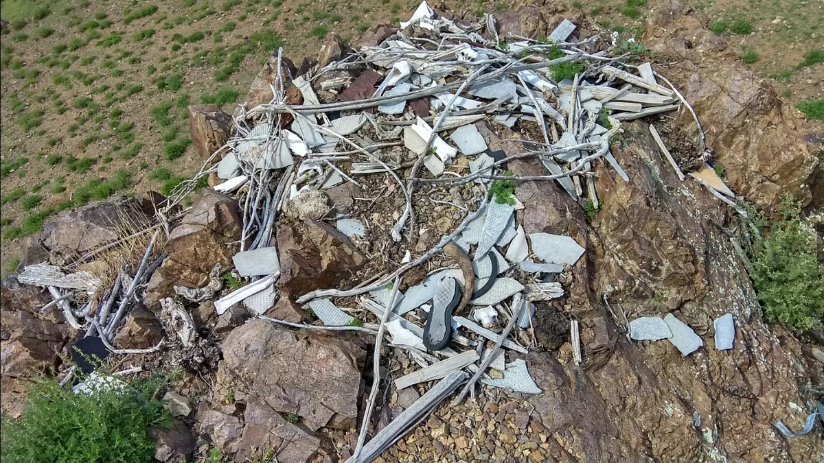 Да, вот это произведение искусства и есть гнездо. 