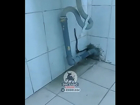     Кадр видео: "Энгельс онлайн" социальной сети "ВКонтакте"