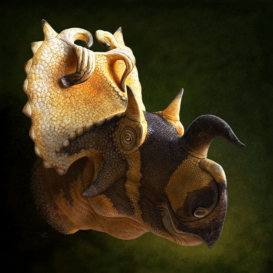 Боевая раскраска.