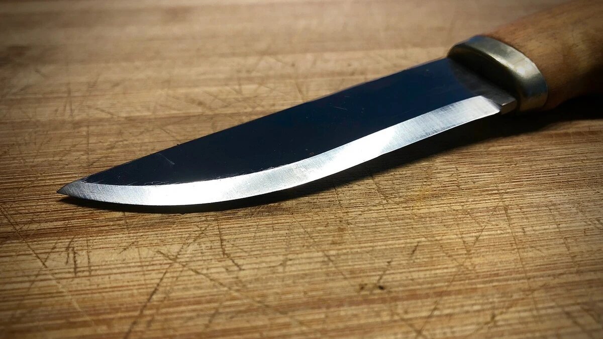 Фото: pixabay.com