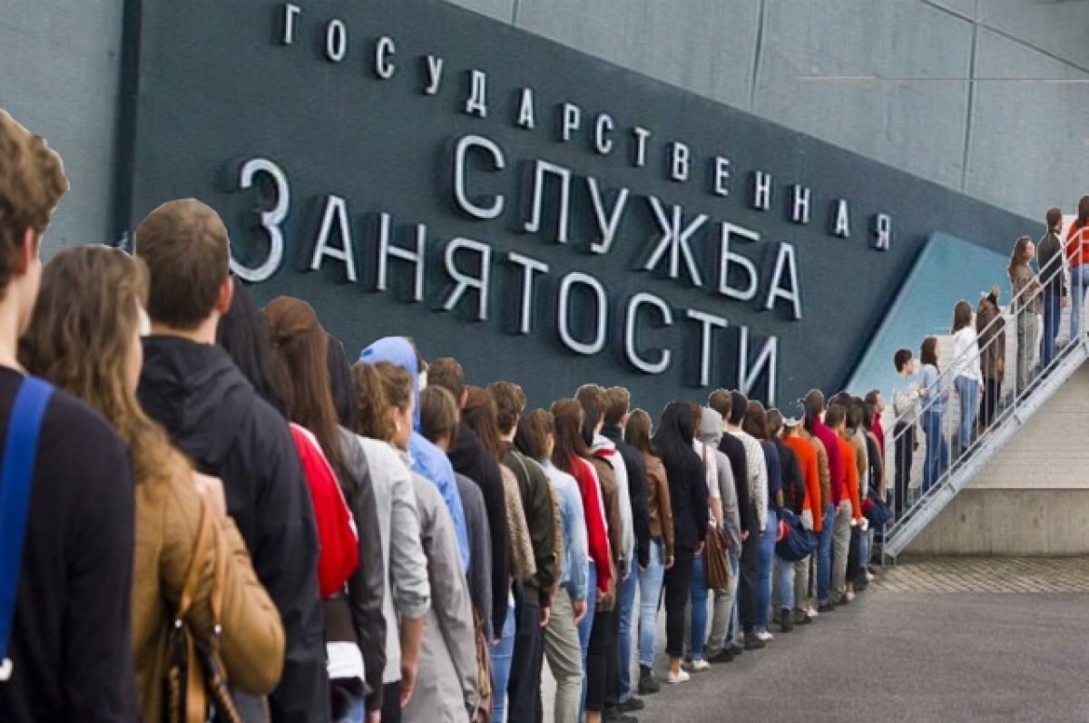    Владимирская область примет участие во Всероссийской ярмарке вакансий