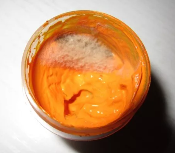 Ужасная история про баночку с гуашью, которой не повезло. Так выглядит плесень.