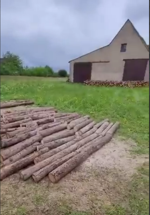 скриншот видео