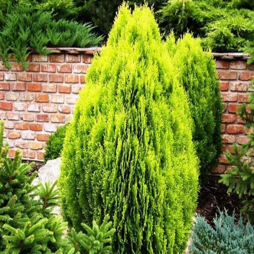 Источник фото - 5179935.ru