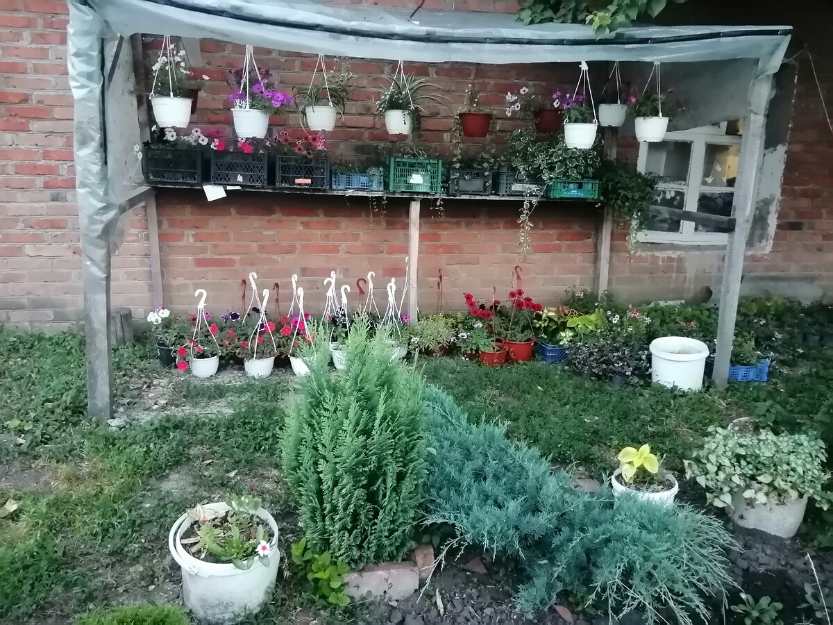 Дёшево и сердито) 