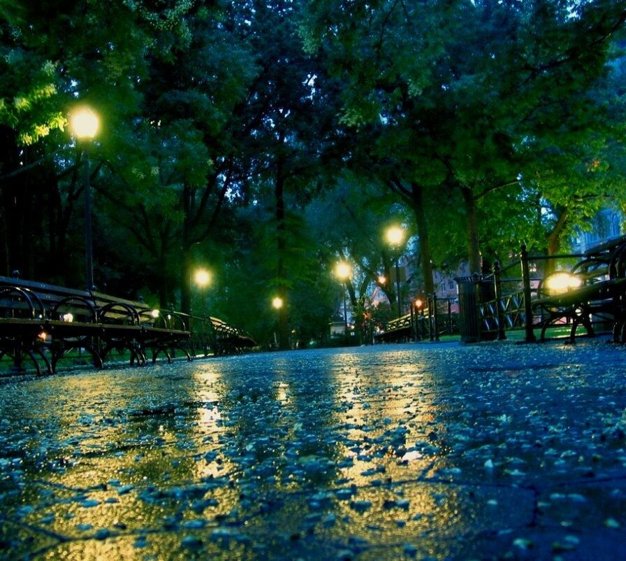 Из открытого источника. 