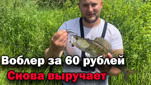 КИТАЙСКИЙ ВОБЛЕР ЗА 60 РУБЛЕЙ! СНОВА ВЫРУЧАЕТ- рыбалка на спиннинг