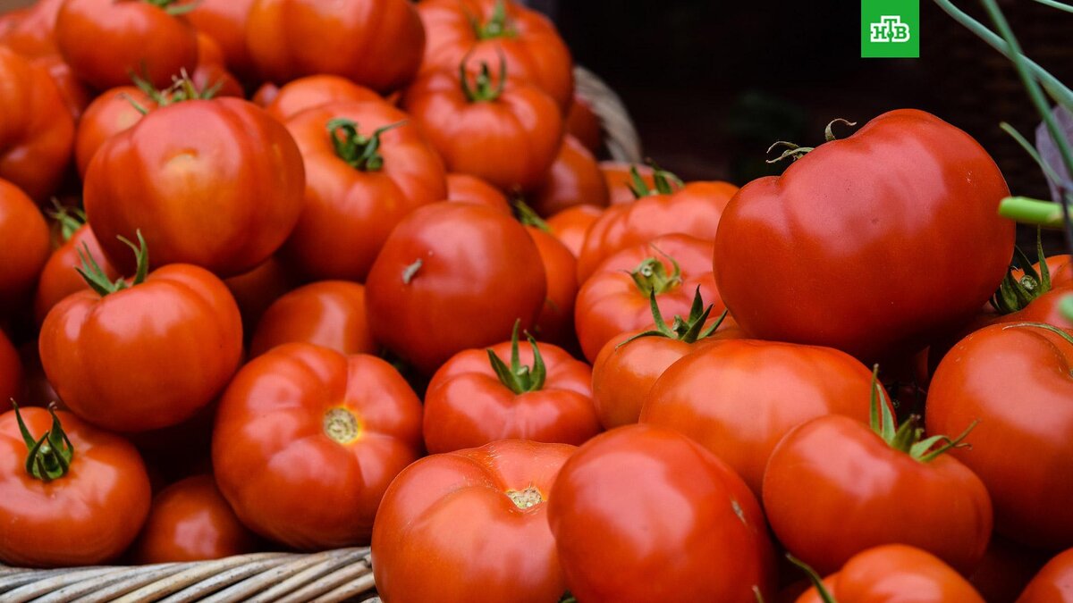    Фото: Josephine Baran / unsplash.com