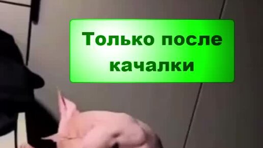 ����������� + ��������� �������� ������ ��������: ����.