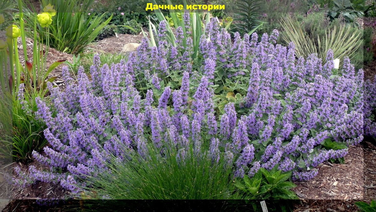 https://vk.com/photo-159774511_457259580