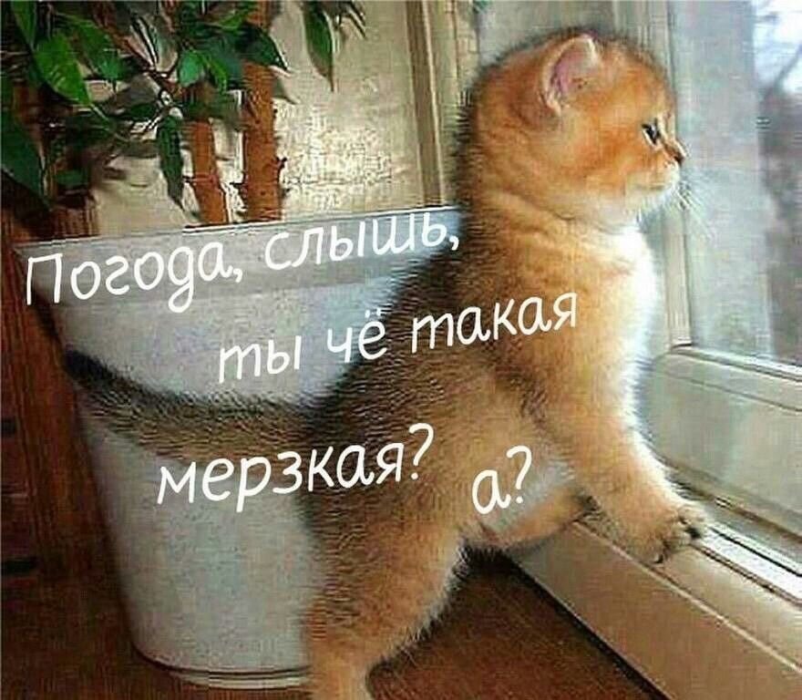 Листайте галерею