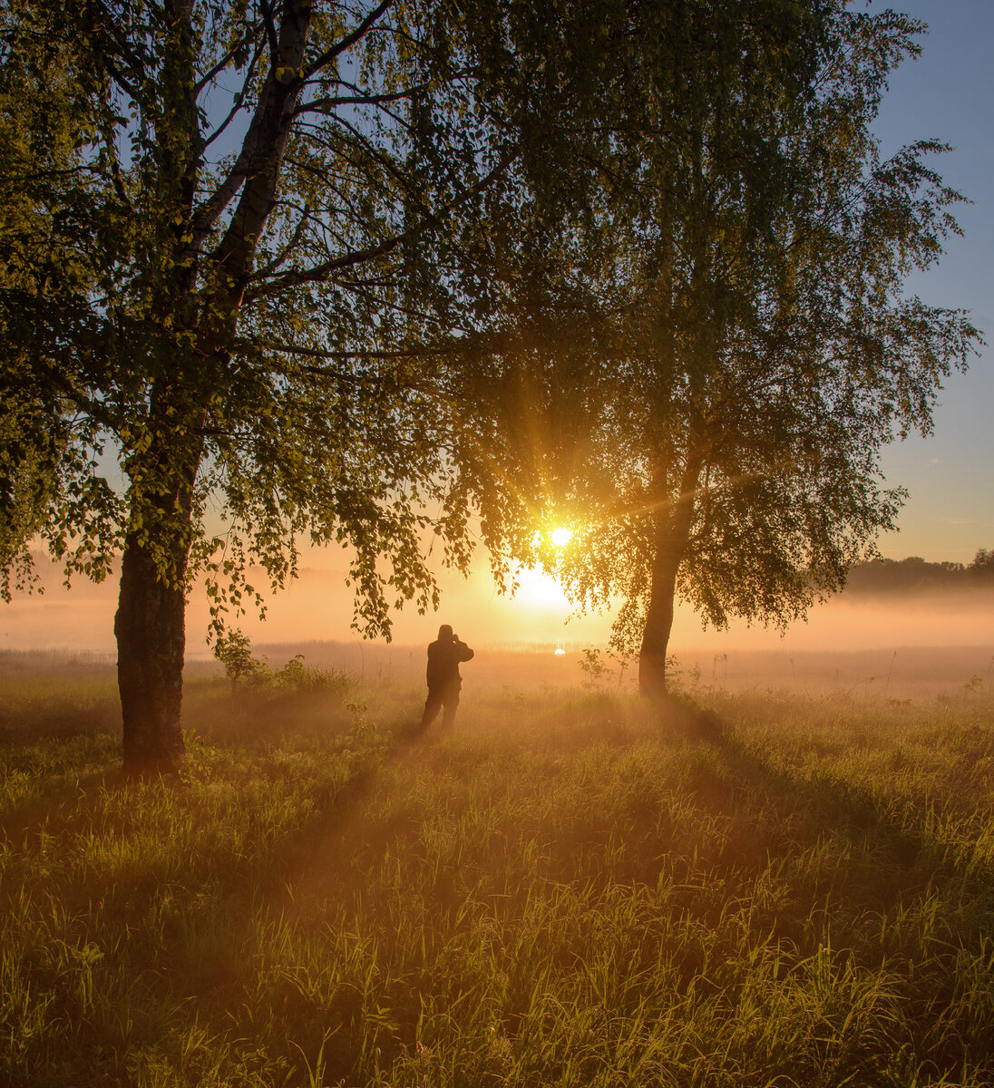 Начало лета июнь фото